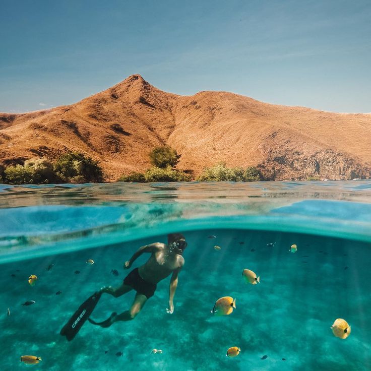 Colorful coral reefs and diverse marine life underwater in Labuan Bajo